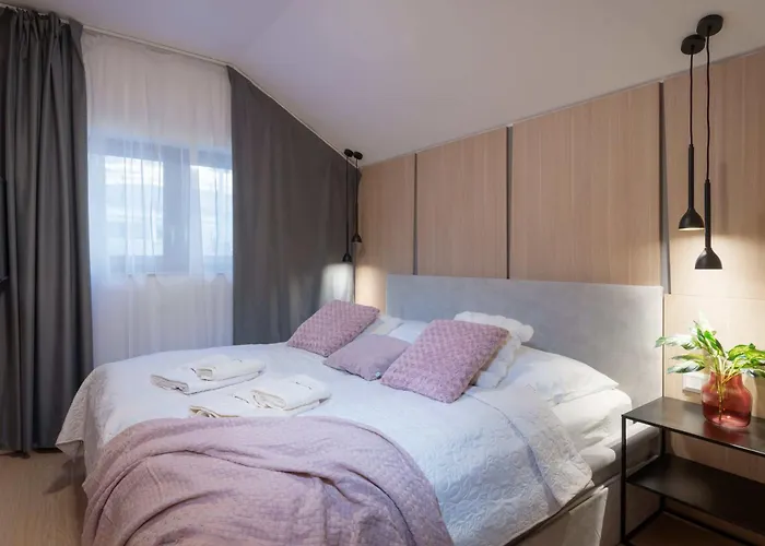 Apartmanica 5b Private Wellness, Garage, 木屋